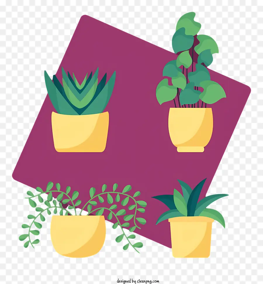 Las Plantas En Maceta，Formación De Triángulo PNG