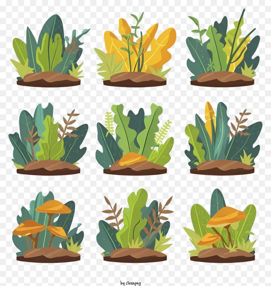 Las Plantas，Hojas PNG