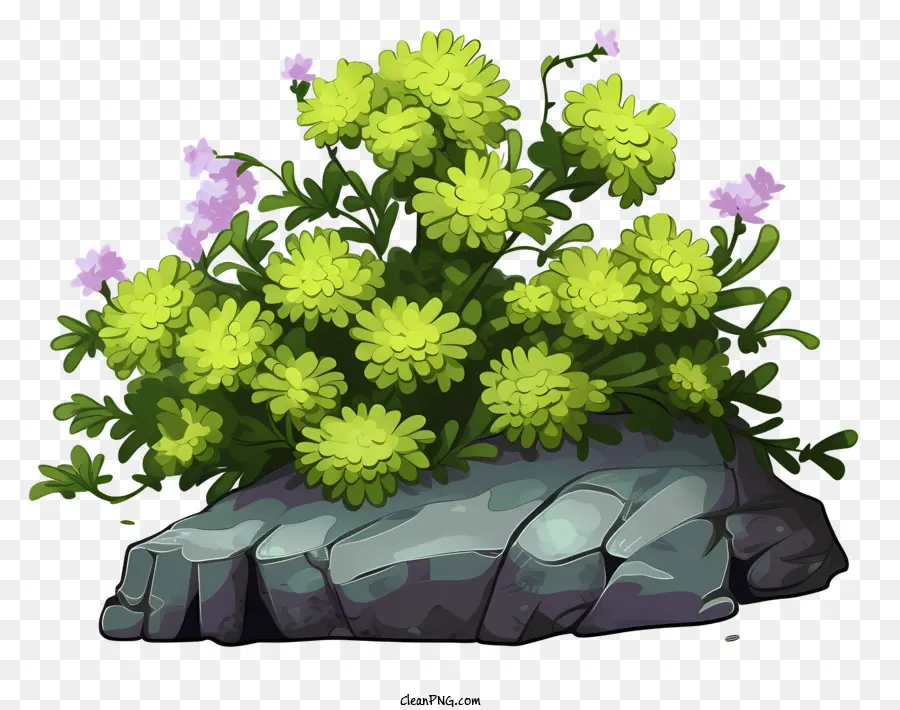 Planta Con Hojas Verdes，Arbusto De Flores PNG