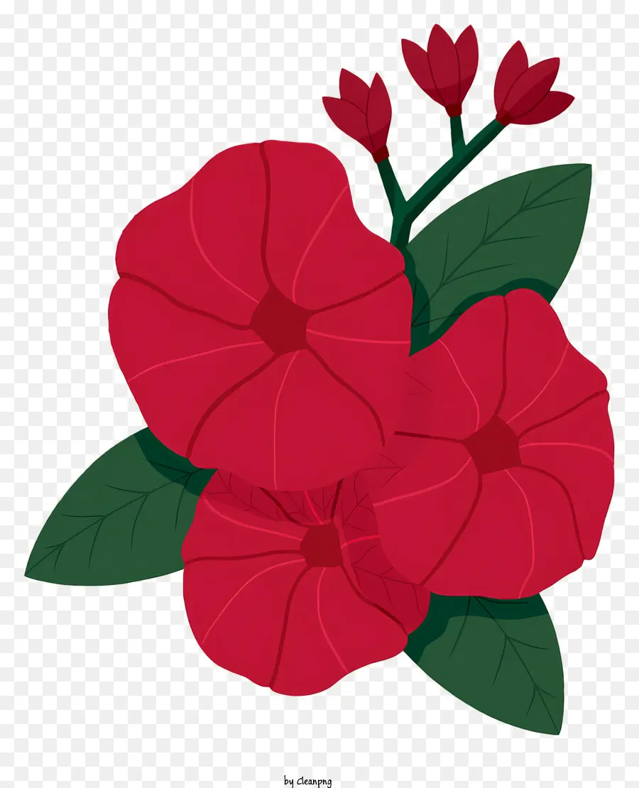 Flor Roja，Hojas Verdes PNG