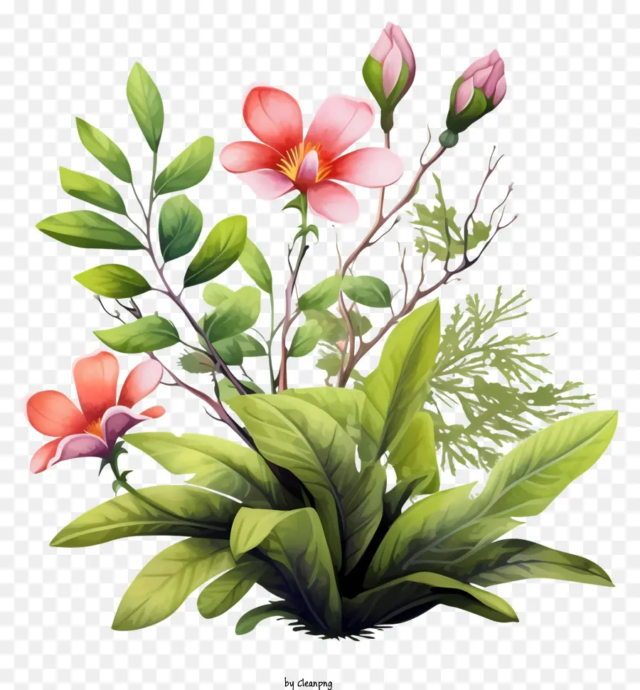 Arreglo Floral，Flores Rosadas PNG