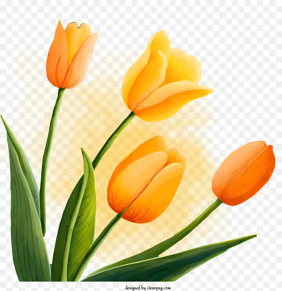 Tulipanes Amarillos，Tulipanes De Floración Completa PNG