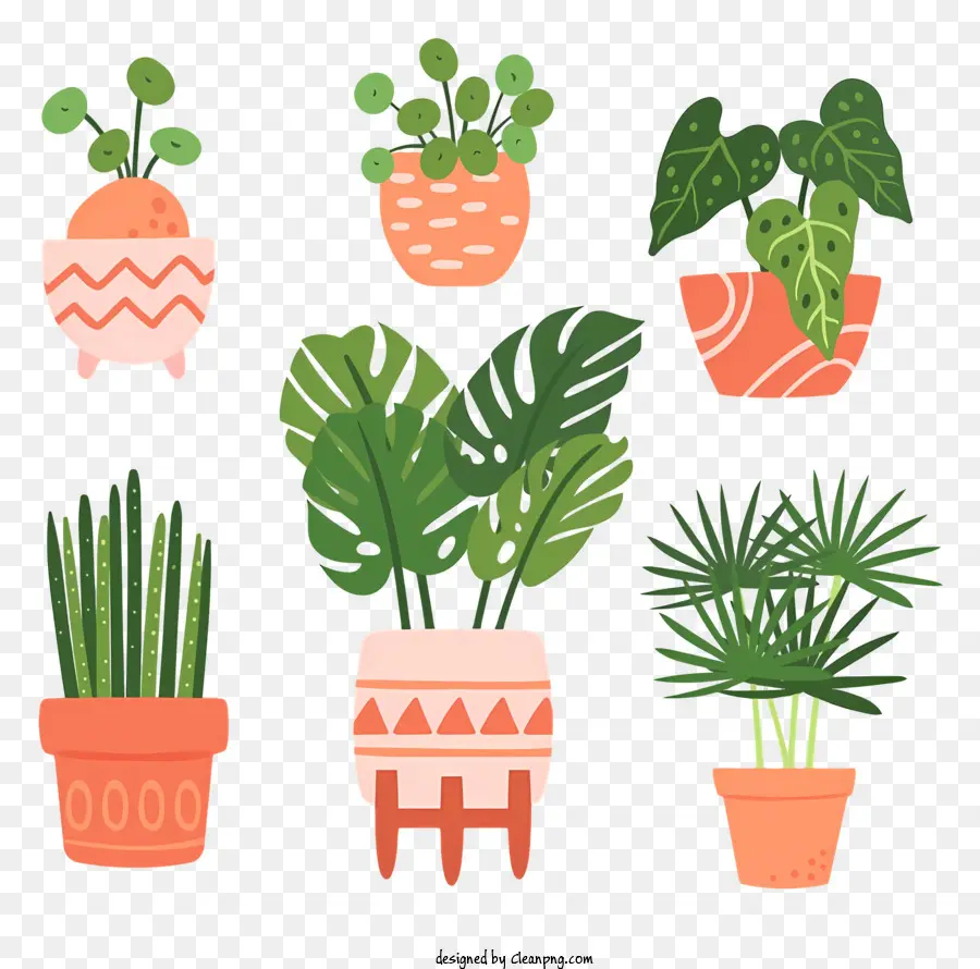 Las Plantas En Maceta，Formas PNG