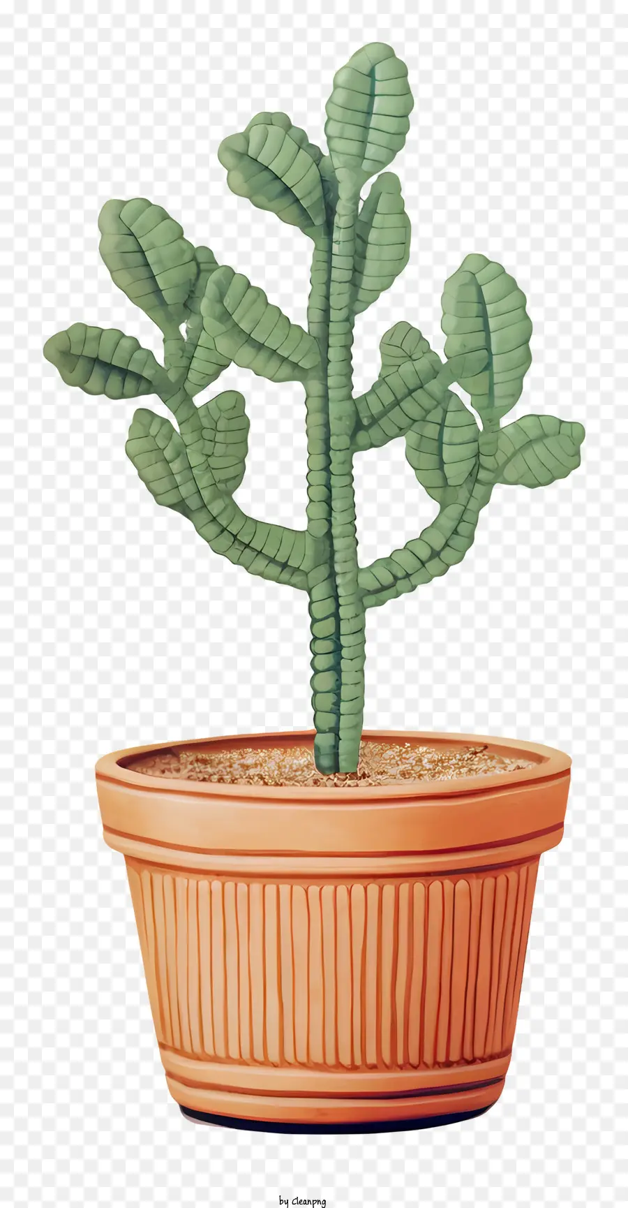 Pequeño Cactus En Maceta，Planta De Cactus PNG