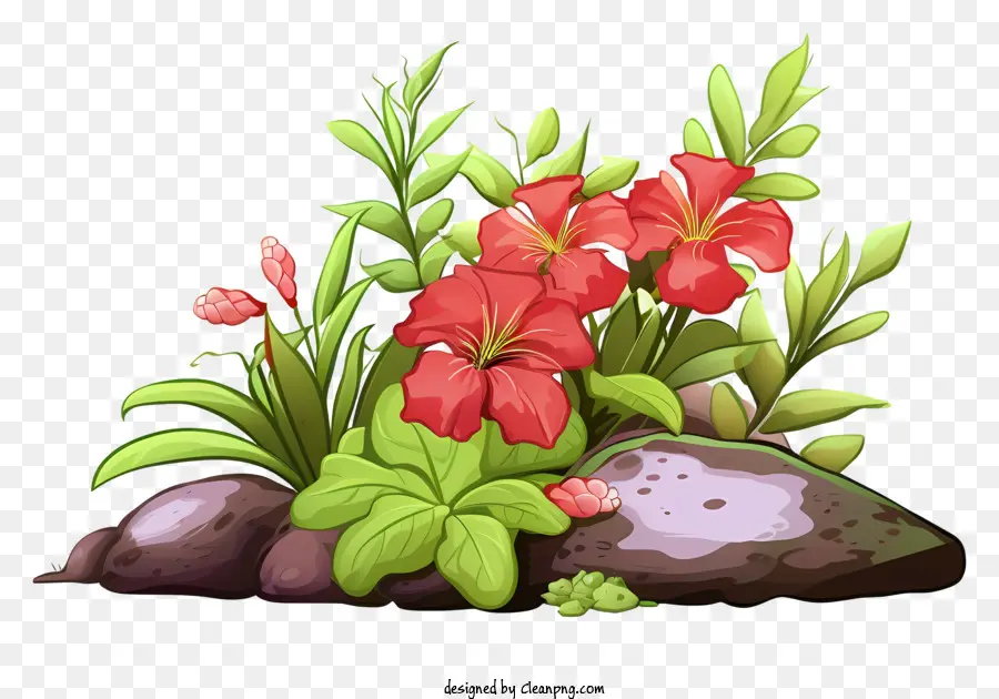 Flores Rojas，Arbusto PNG