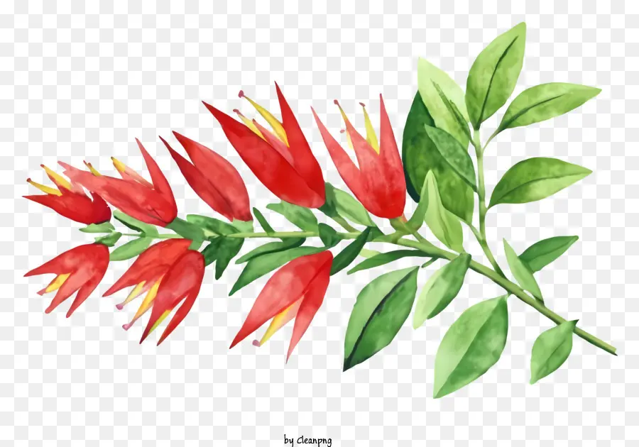 Pintura，Flor Roja Brillante PNG