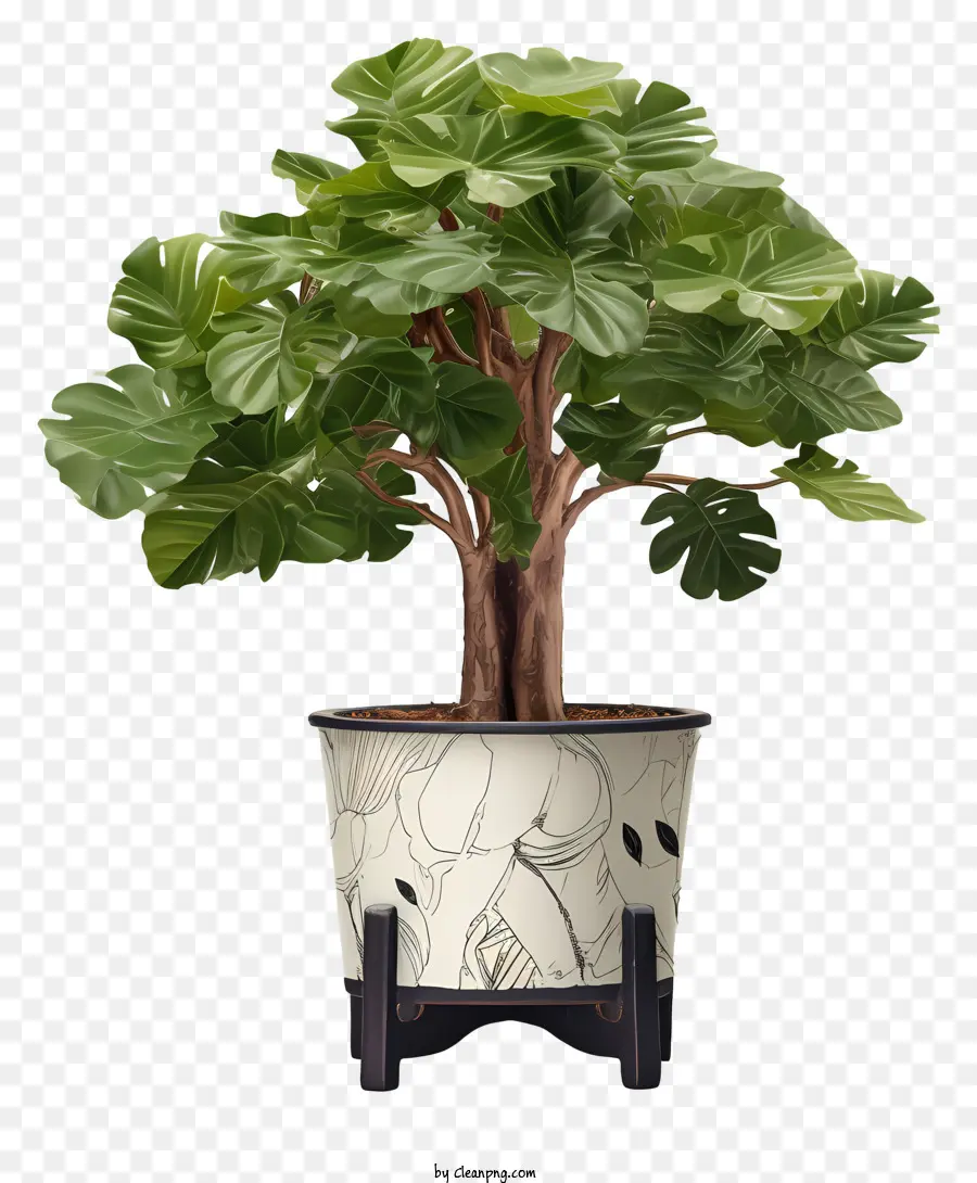 Planta En Maceta Grande，Planta En Maceta PNG