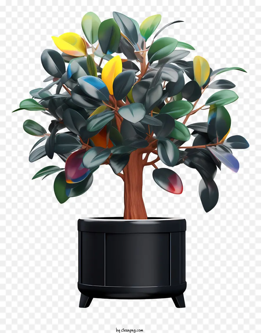 Planta En Maceta Negra，Hojas Multicolores PNG