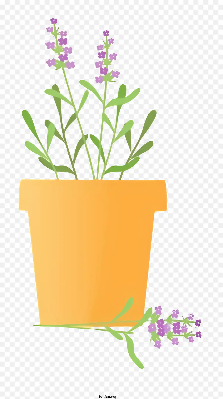 Planta En Maceta，Lavanda PNG