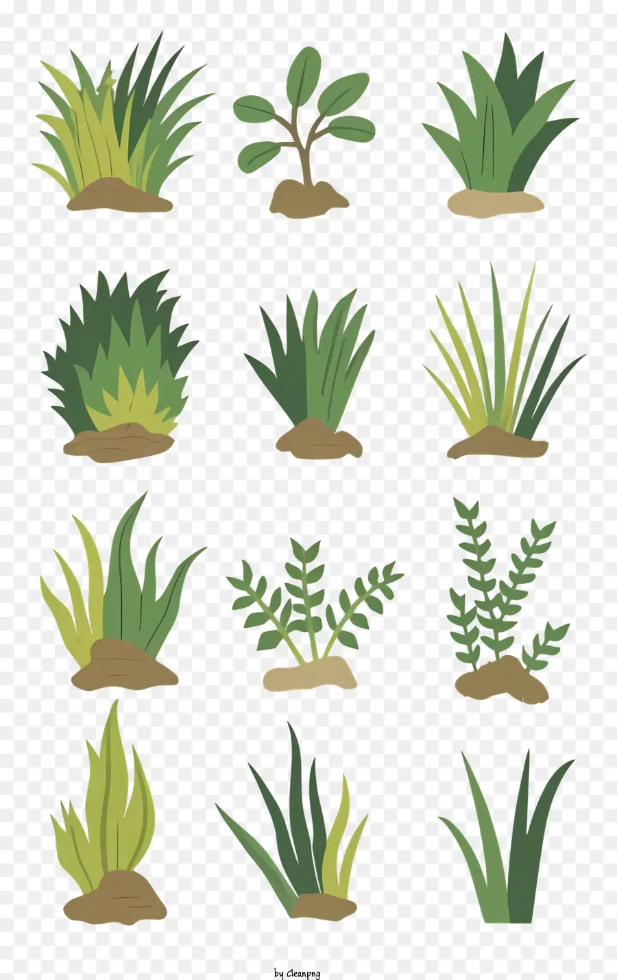 Plantas，Verdor PNG