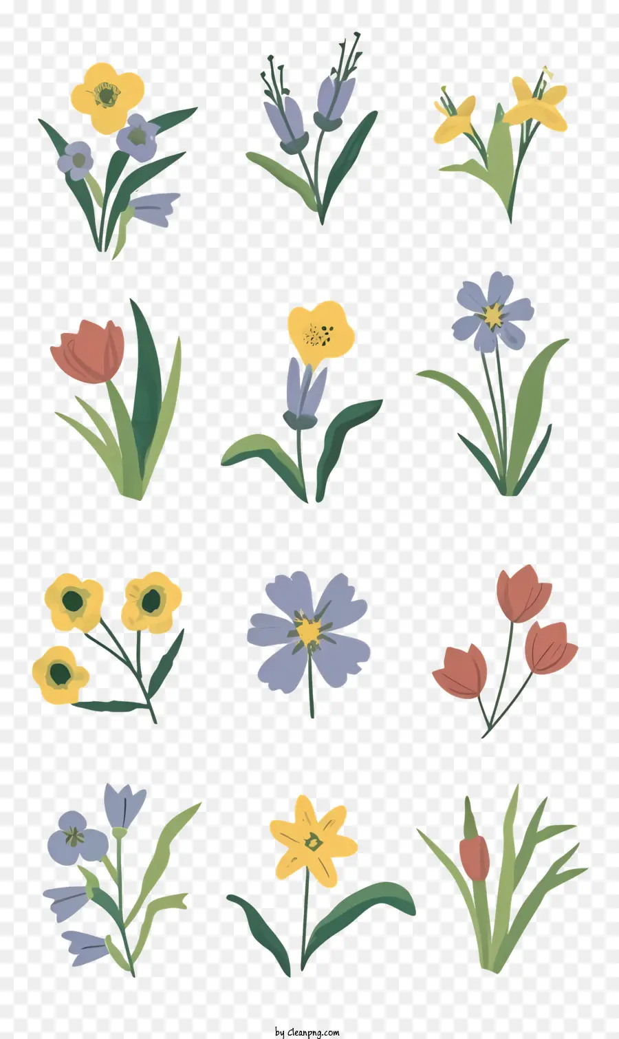 Vectores Florales，Flores PNG