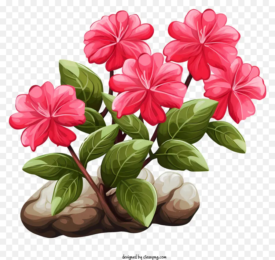 Planta Con Flores Rosadas，Flores Rosadas PNG