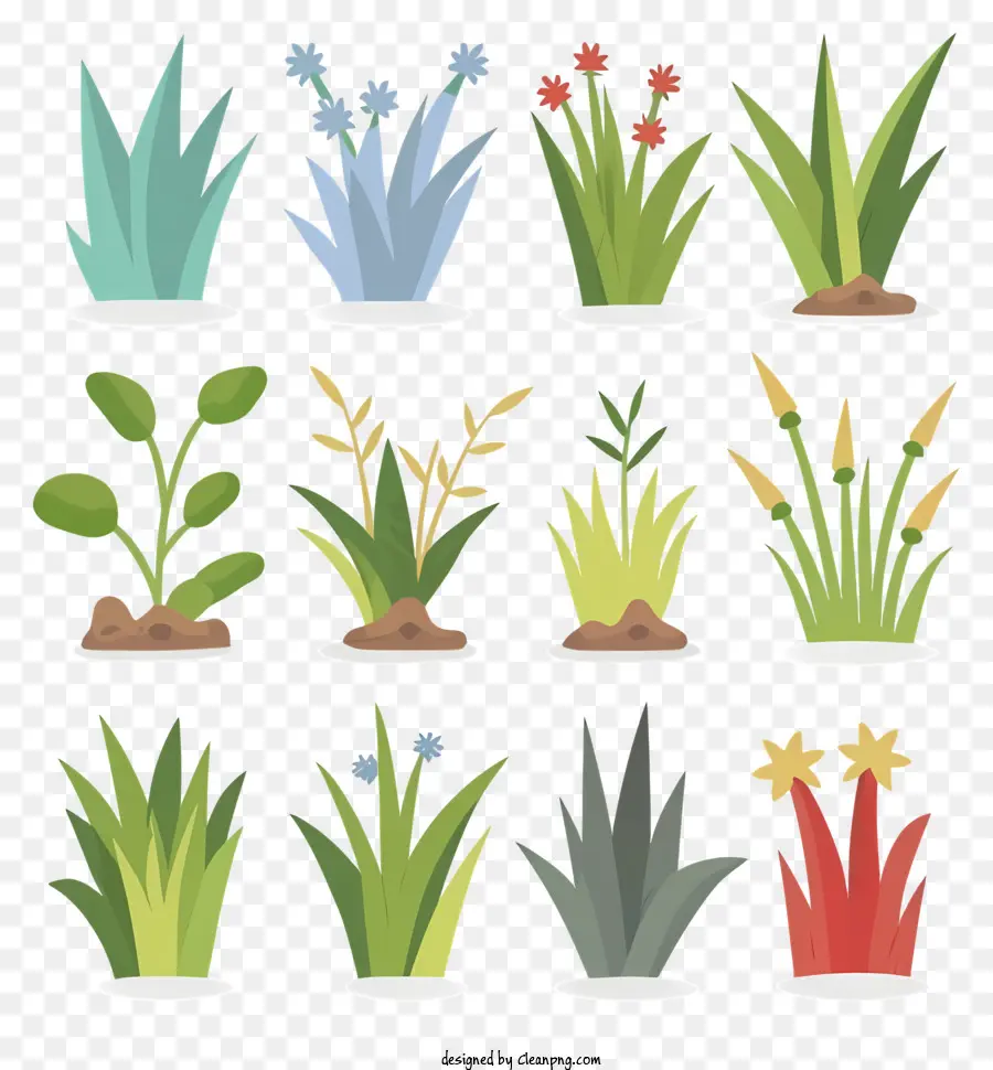 Las Plantas，Creciente PNG