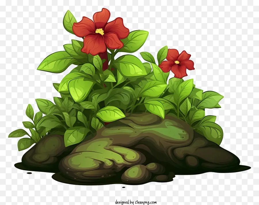 Flores，Las Flores De Color Rojo PNG