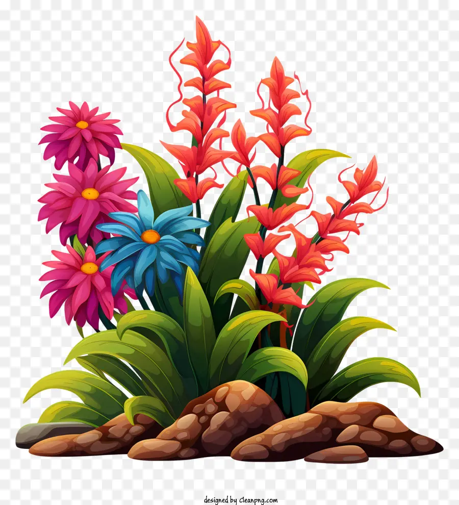 Cama De Flores，Flores De Colores PNG