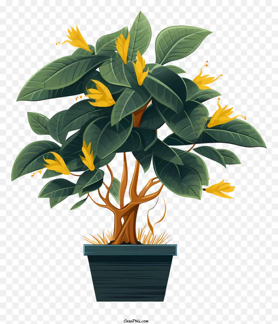 Planta，Hojas Verdes PNG