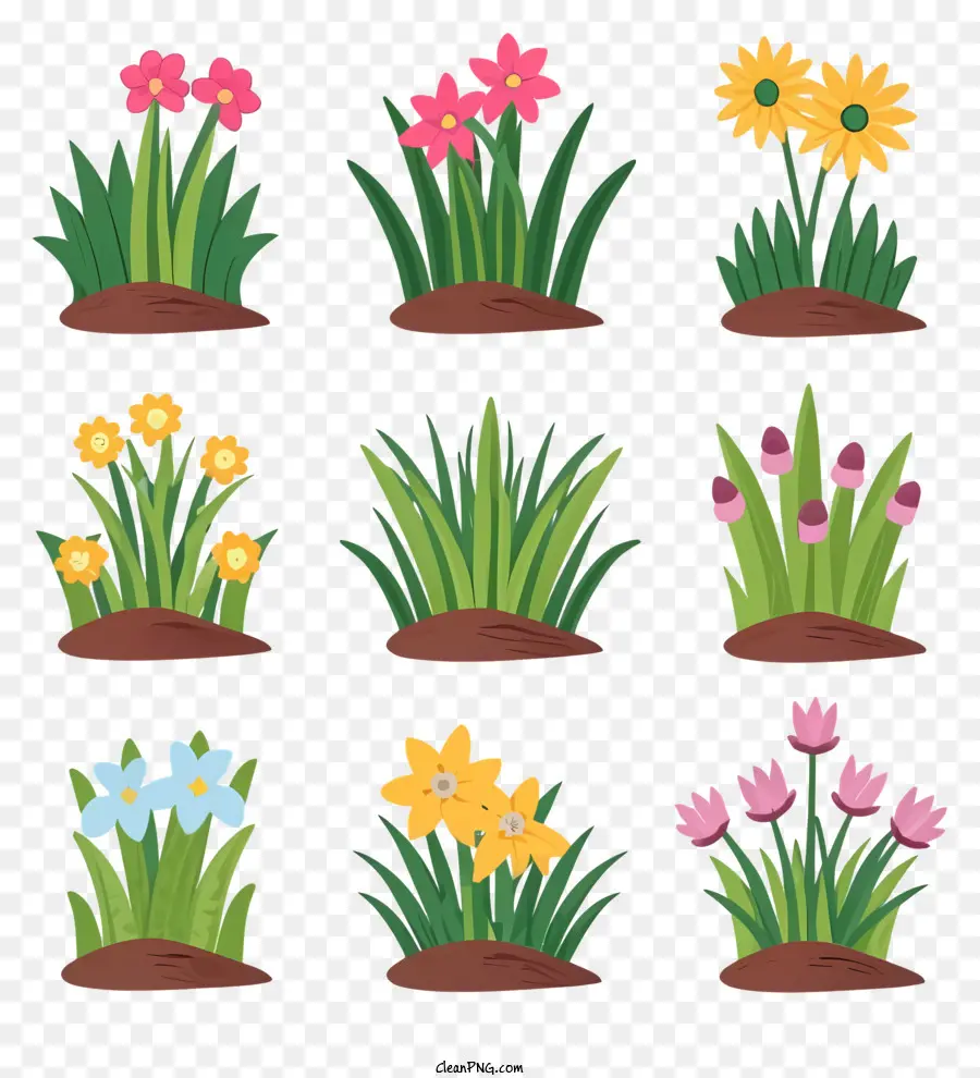 Flores，Plantas Verdes PNG