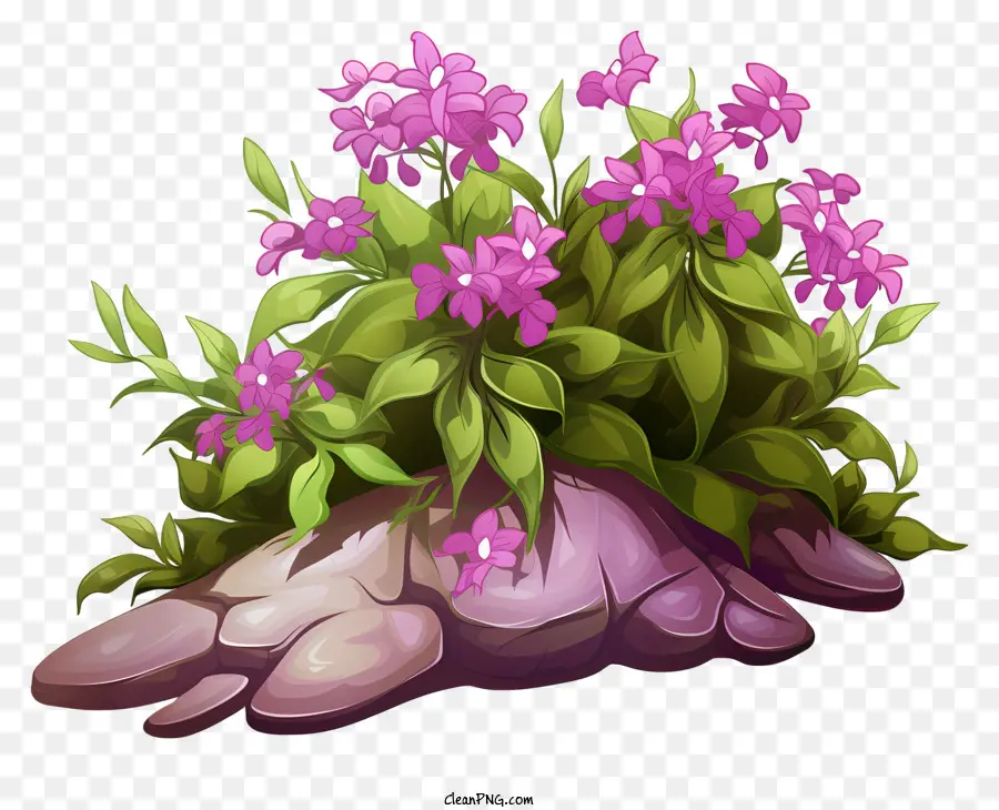 Planta De Flor Rosa，Flores Moradas PNG