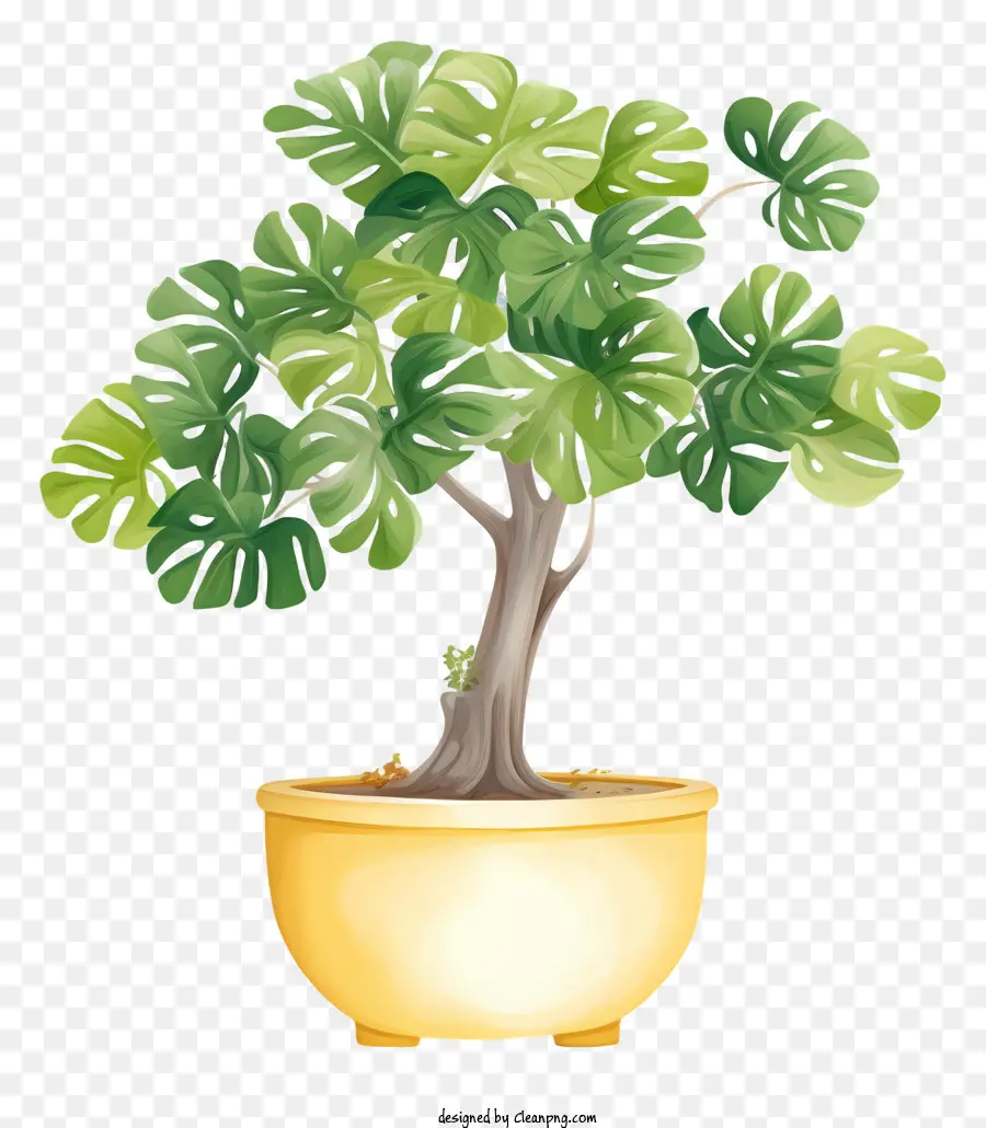 árbol De Los Bonsais，Bote Amarillo PNG