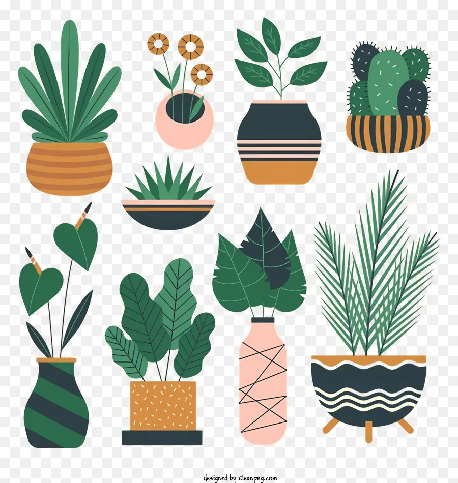 Las Plantas En Maceta，Cactus PNG