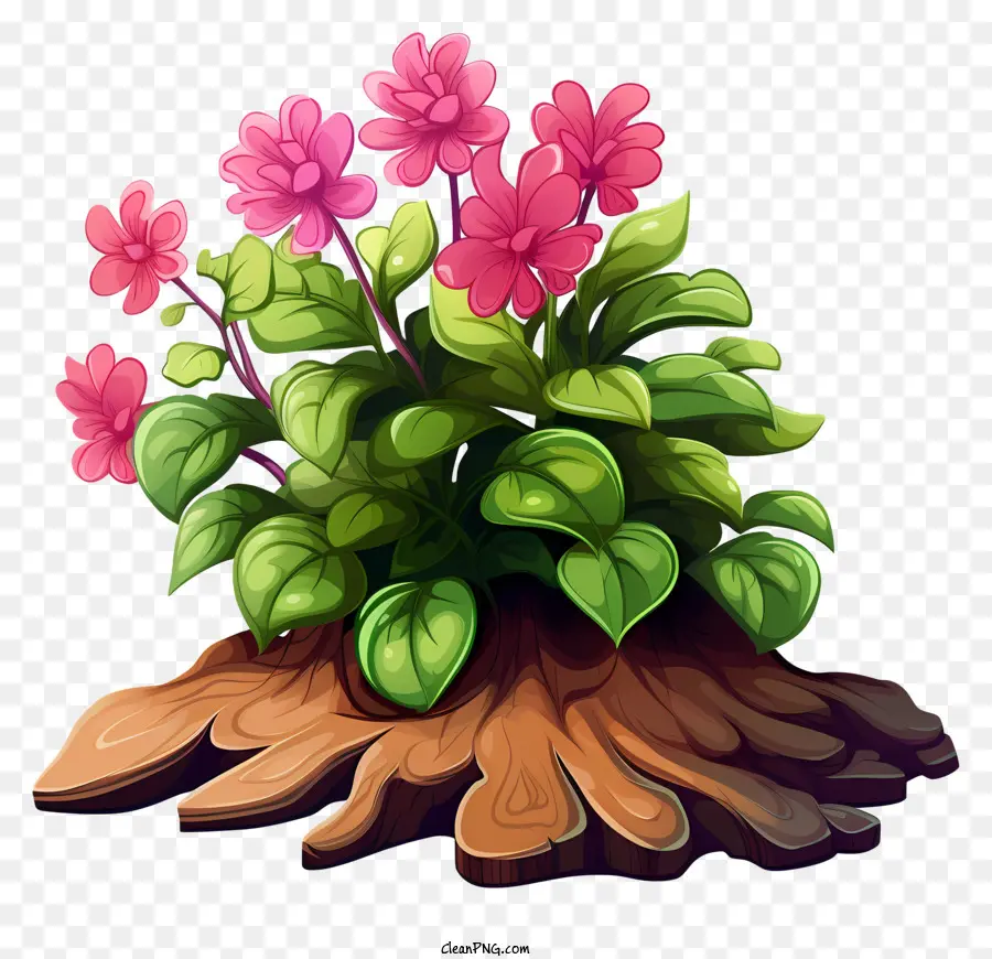 Planta，Flores De Color Rosa PNG
