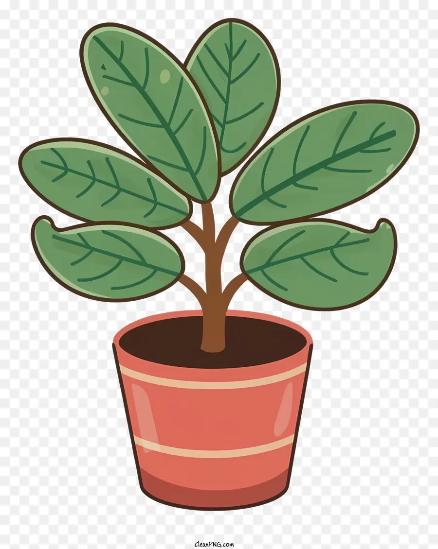 Planta En Maceta，Hojas Verdes PNG