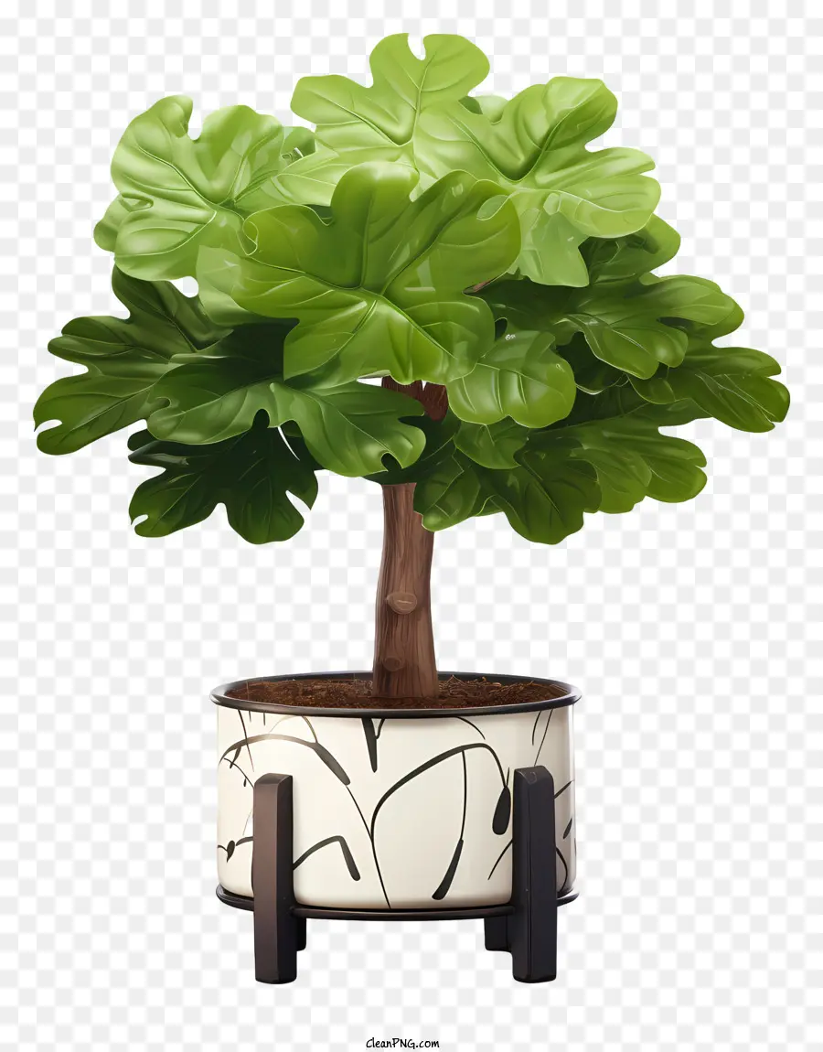 árbol Bonsái，Planta En Maceta PNG