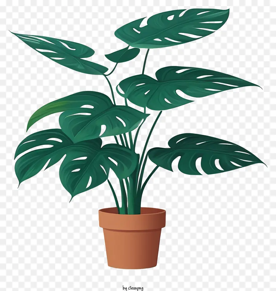 Planta En Maceta，Planta PNG