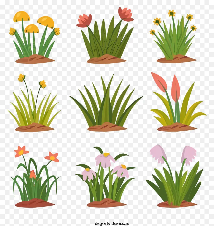 Las Plantas，Tipos De Plantas PNG