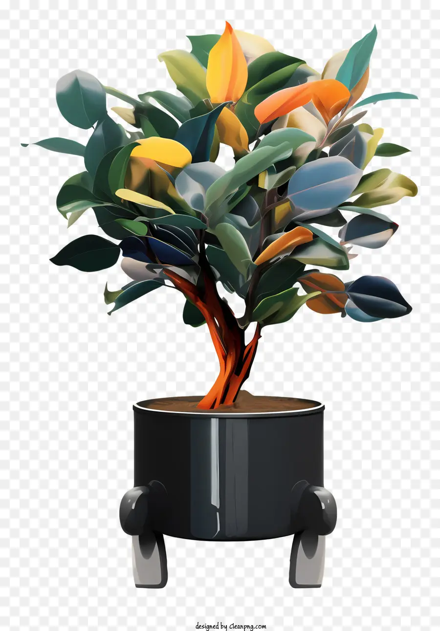 Planta，árbol Pequeño PNG