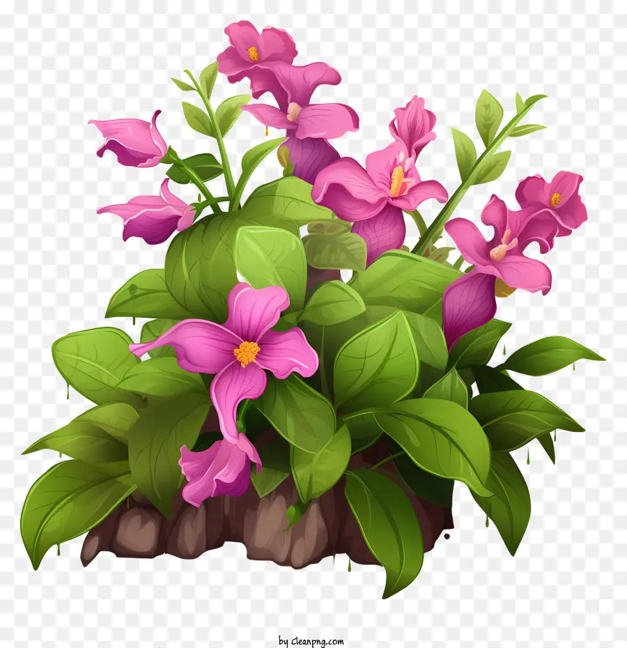 Flores De Color Rosa，El Crecimiento De La Planta PNG