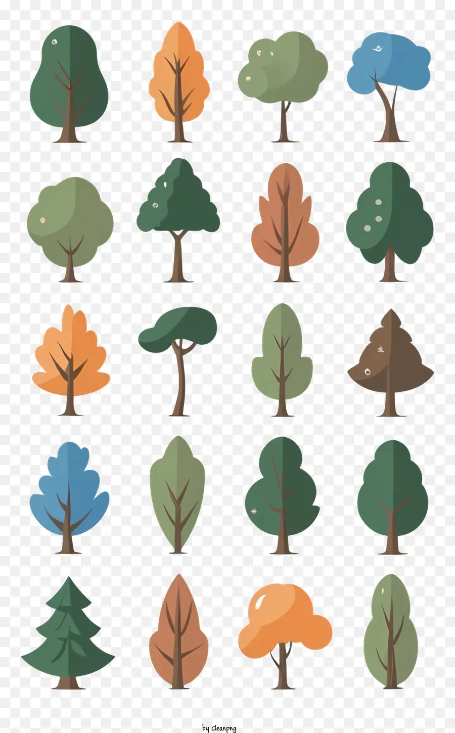 Los árboles，Etapas De Crecimiento PNG