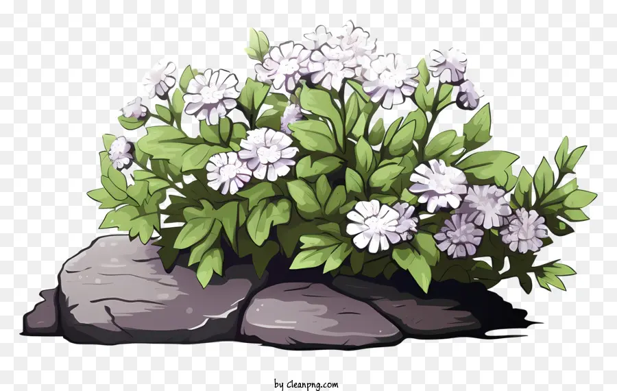 Planta Con Flores Blancas，Bloom PNG