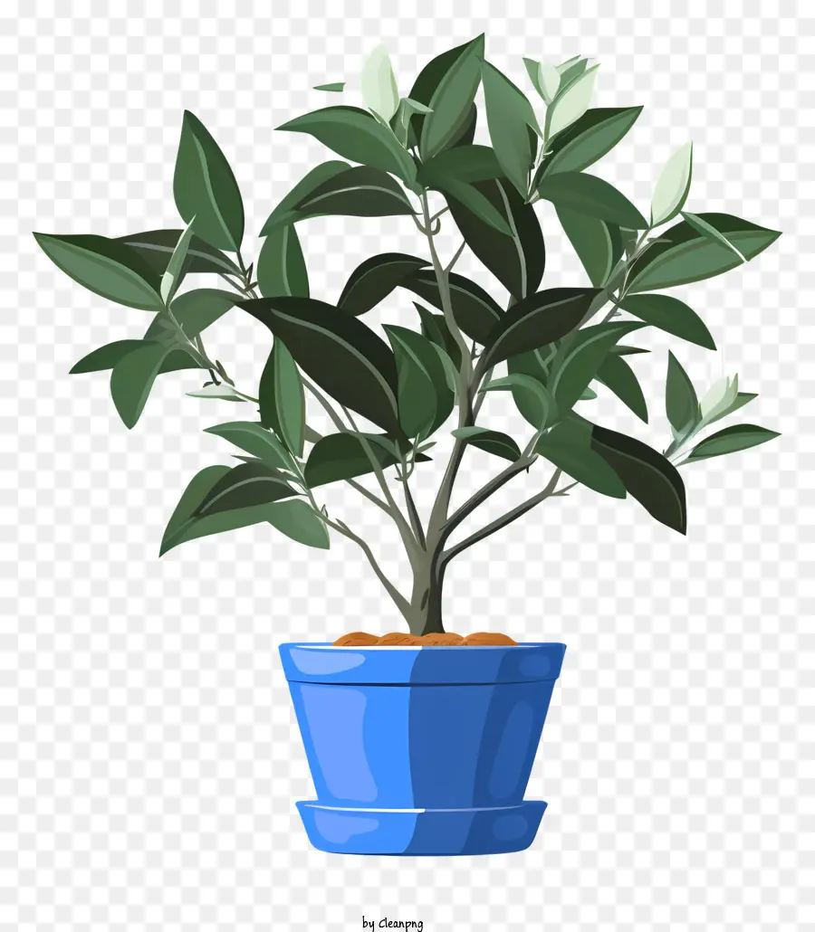 Planta Pequeña，Planta En Maceta PNG