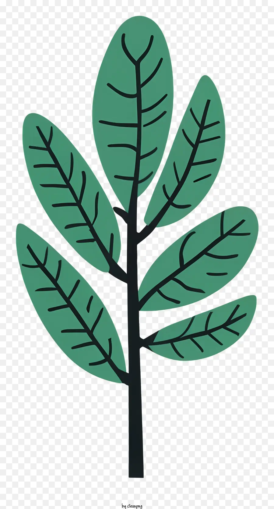 Planta，Hoja PNG