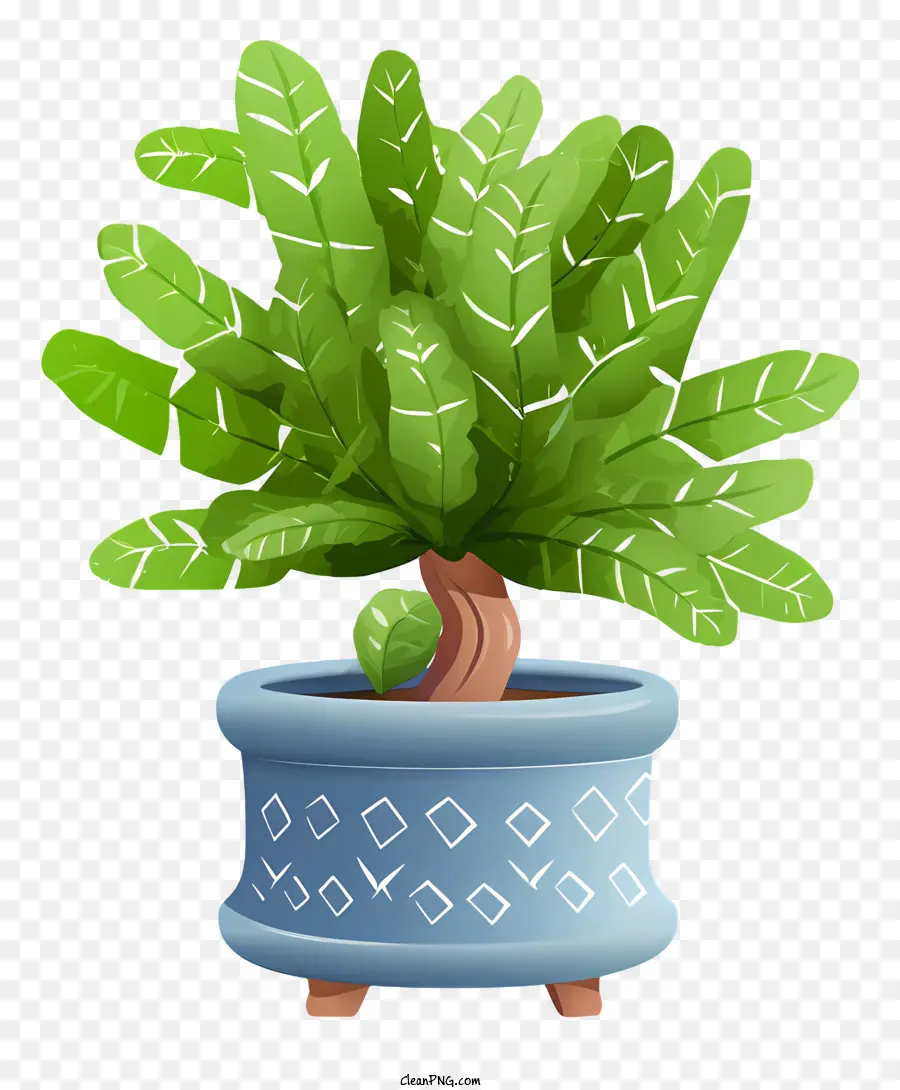 Pequeña Planta En Maceta，Planta En Maceta PNG