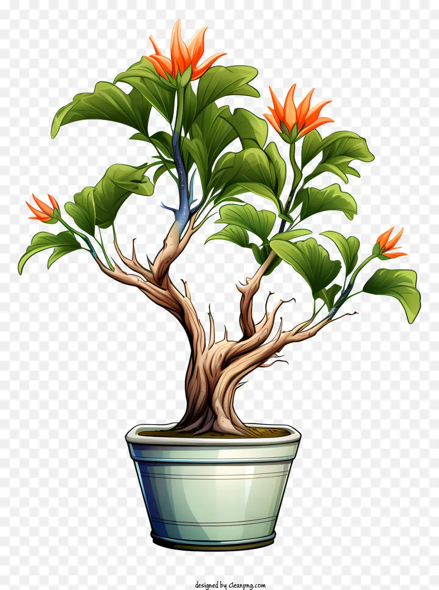 árbol De Los Bonsais，Bote PNG