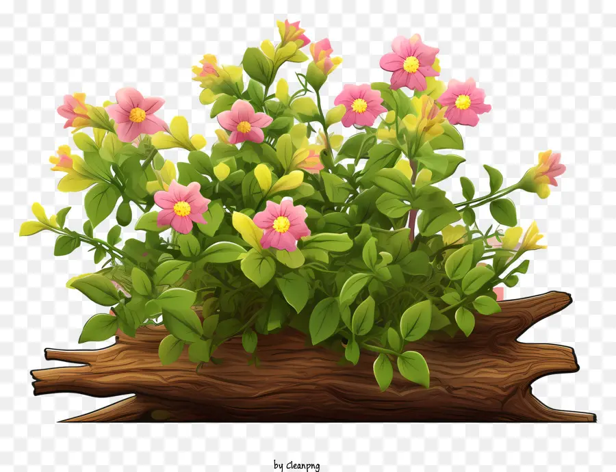 Cama De Flores，Flores De Color Rosa PNG