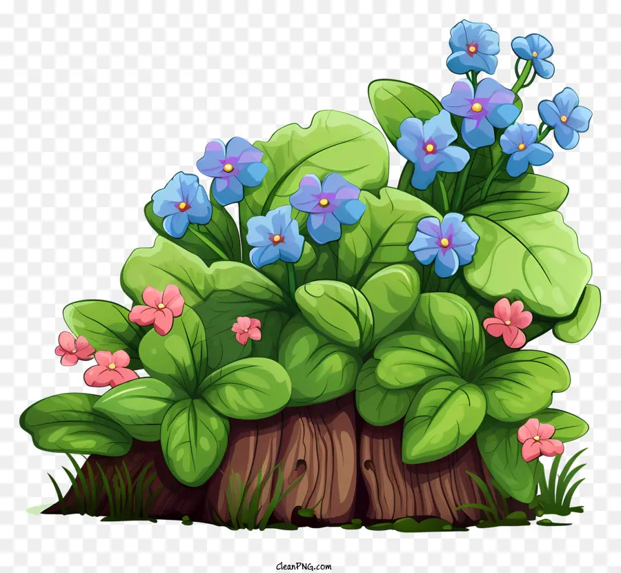 Pequeño Tocón Verde，Flores De Color Azul PNG