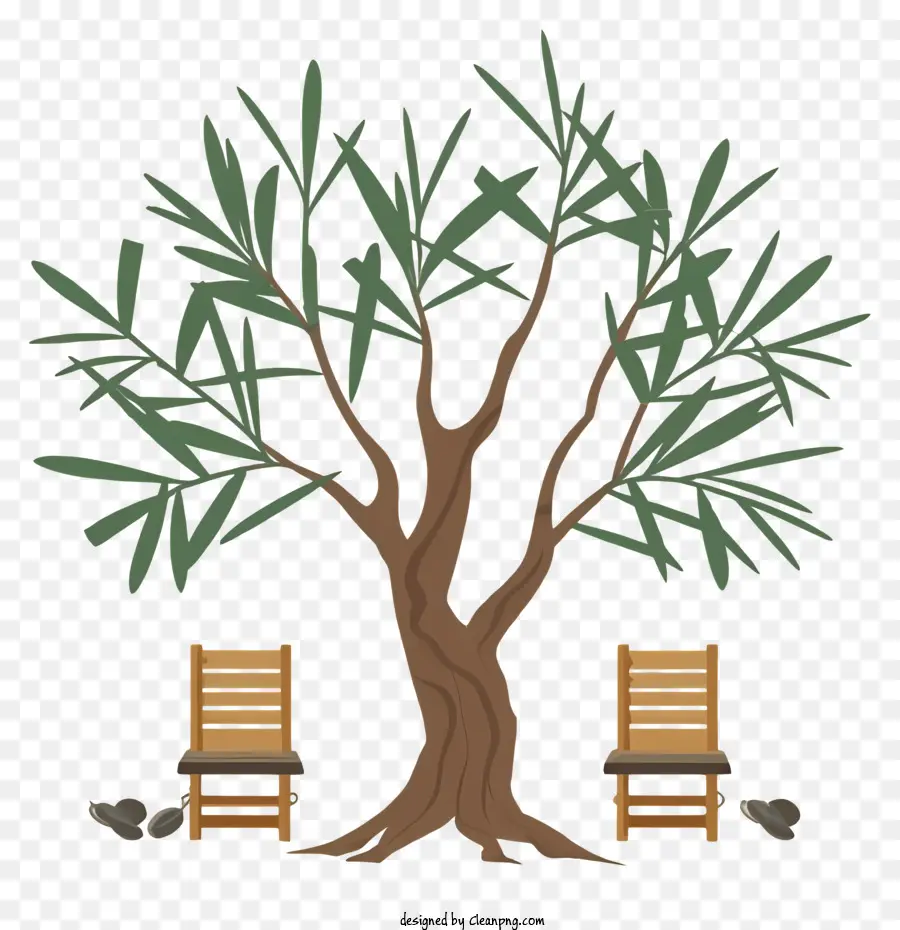 Olivo，Árbol PNG