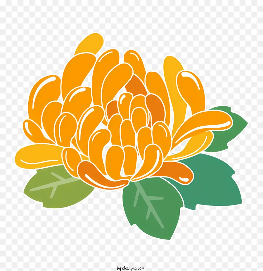 Naranja Crisantemo，Flor PNG