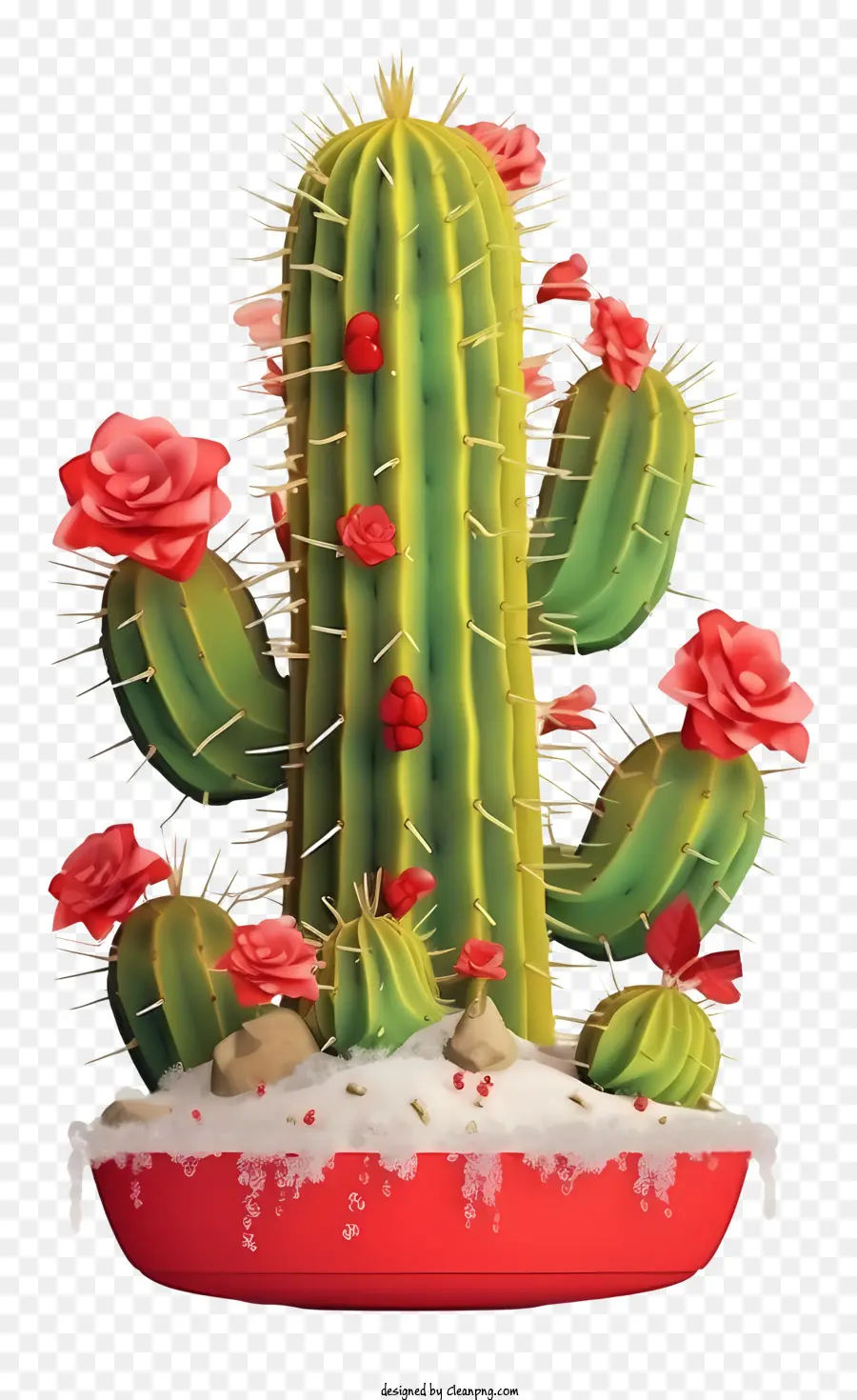 Cactus，Cactus Con Flores PNG