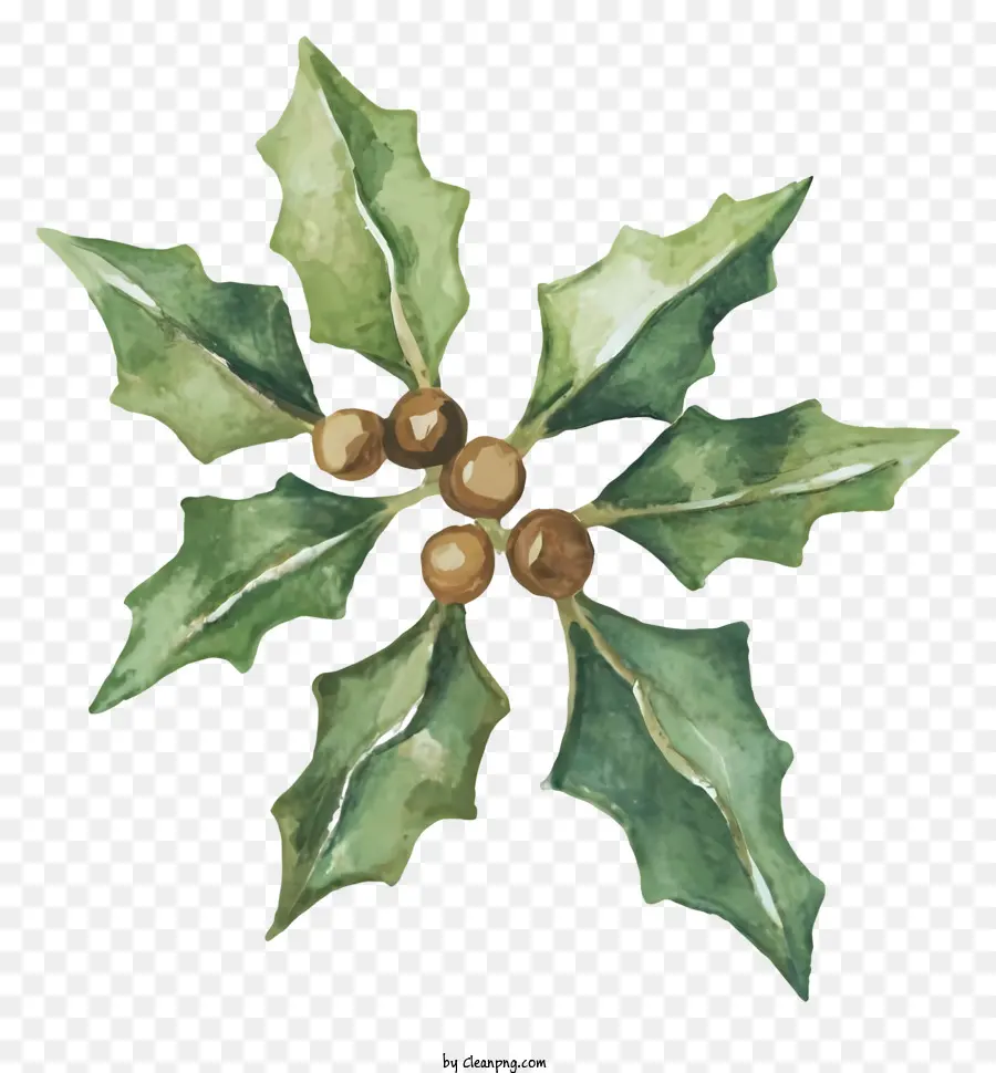 Pintura Del árbol De Navidad，Acebo PNG