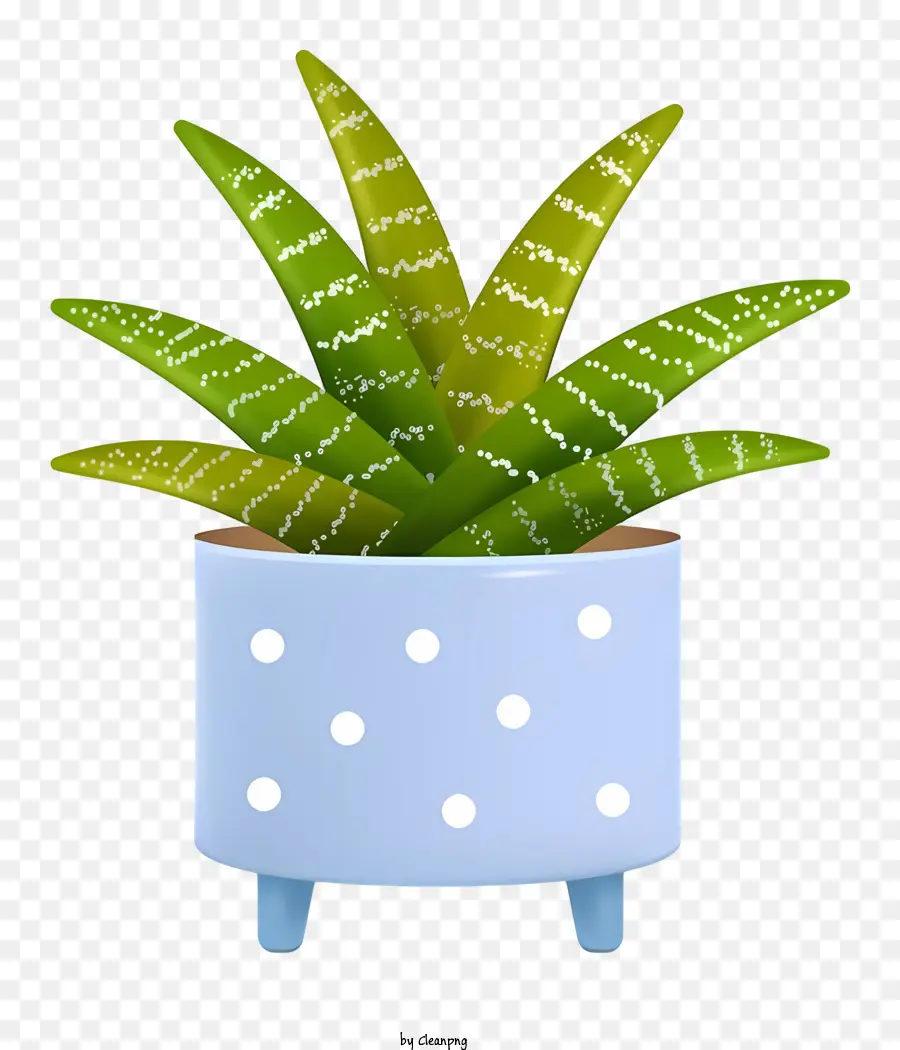 El Aloe Vera Plant，Lata De Planta PNG