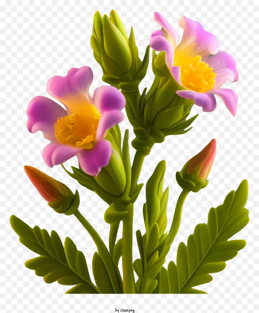 Flores Rosas Y Amarillas，Madre PNG