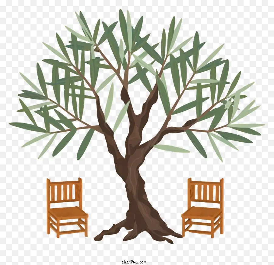 Olivo，Árbol PNG