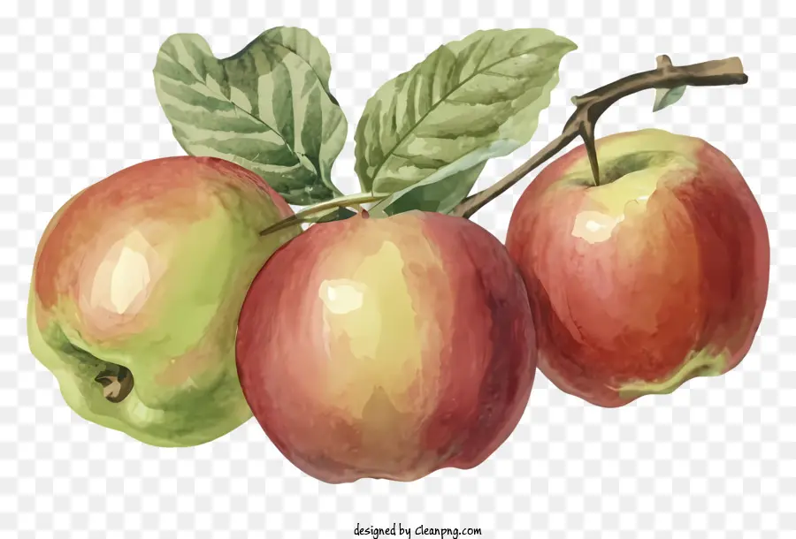 Pintura De Acuarela，Manzanas PNG