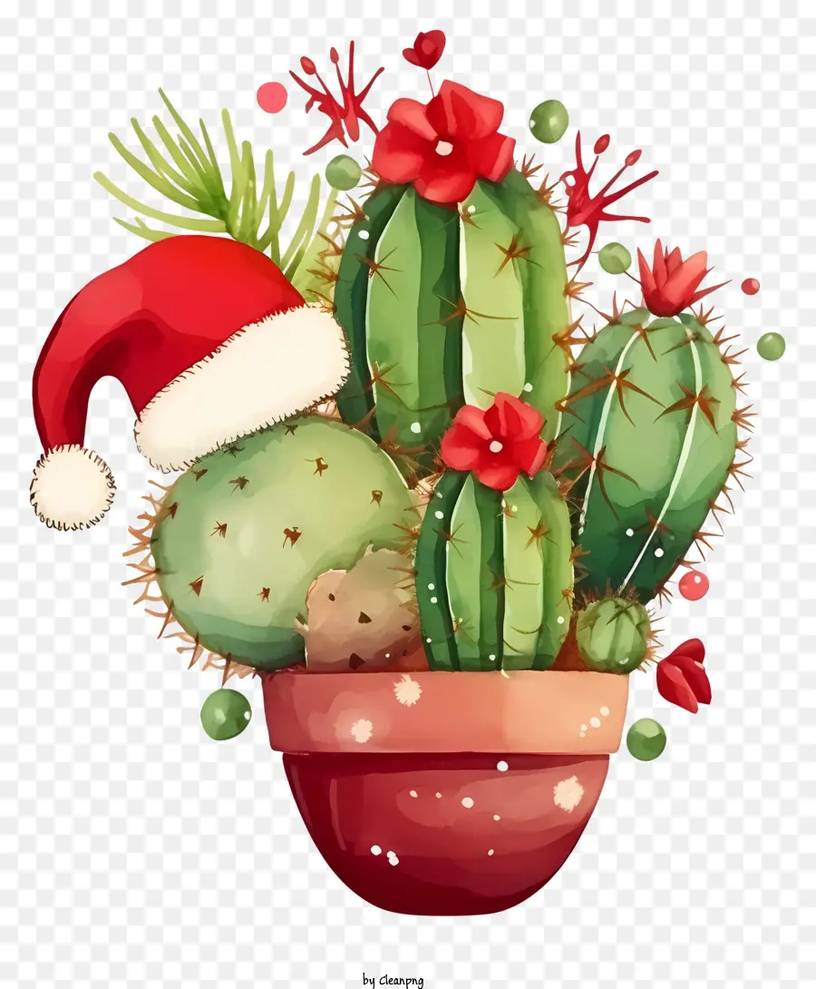 Cactus，Cactus De Navidad PNG