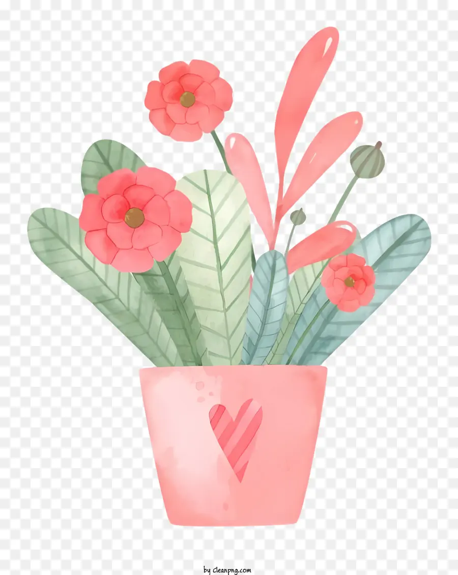 Planta En Maceta，Maceta Rosa PNG