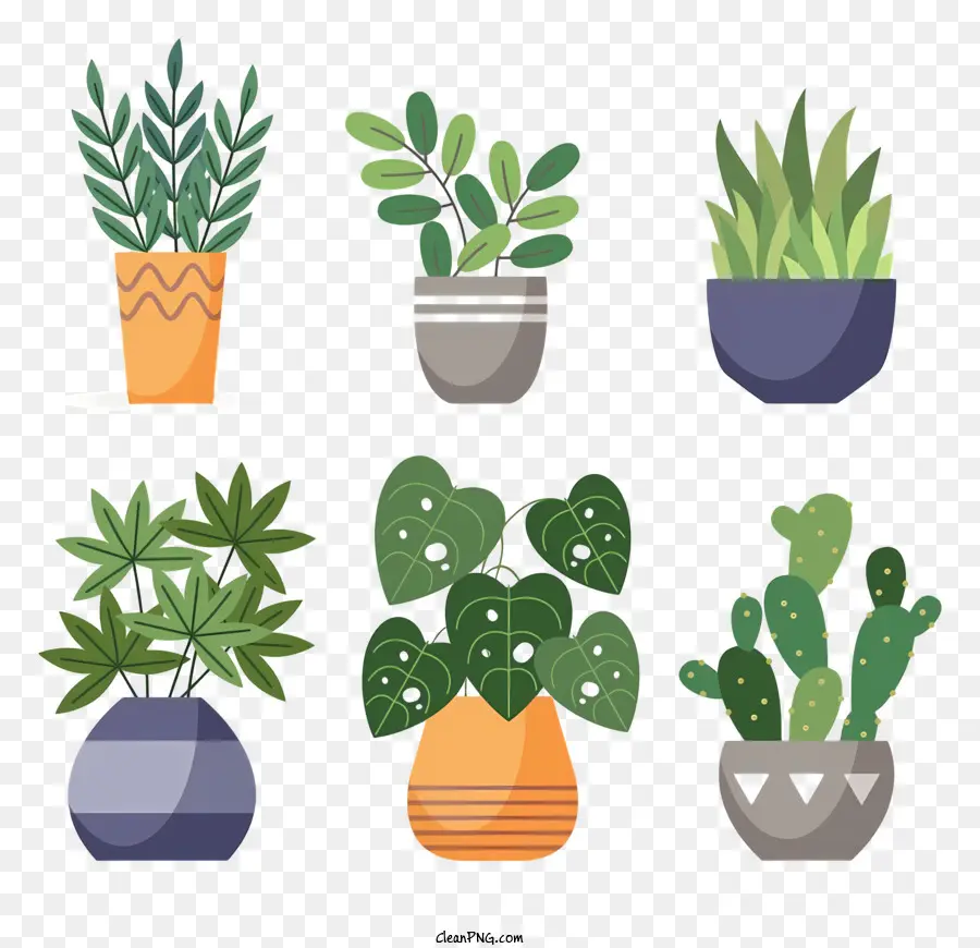 Las Plantas En Maceta，Cactus PNG